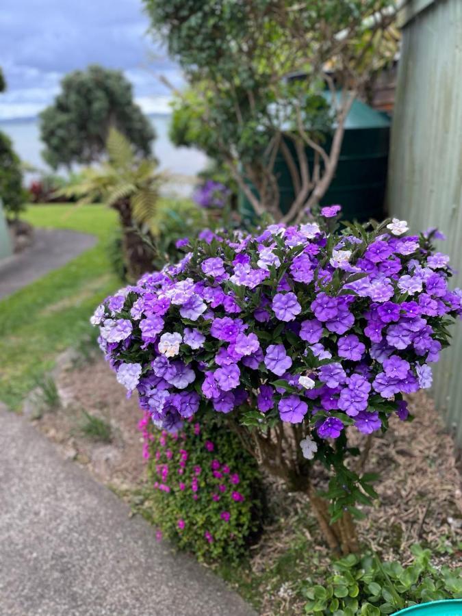 Tamaterau Seaview House In Whangarei Exteriör bild